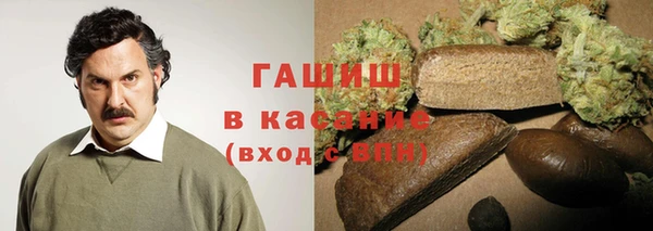 индика Алексин