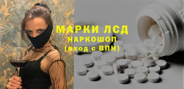 индика Алексин