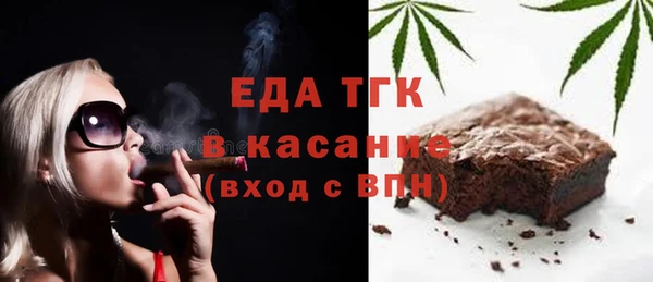 индика Алексин