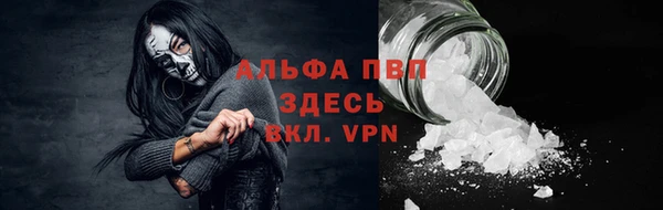 индика Алексин