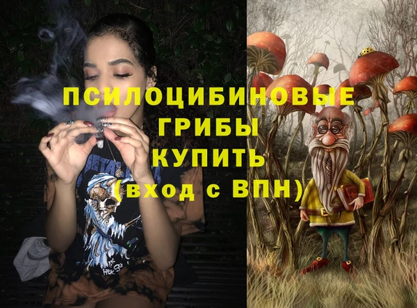 индика Алексин