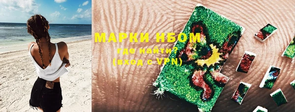 индика Алексин