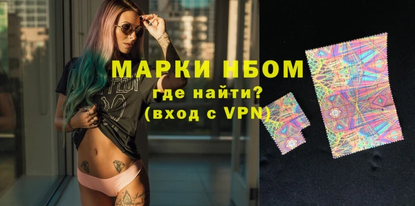 индика Алексин