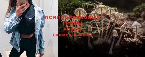 индика Алексин