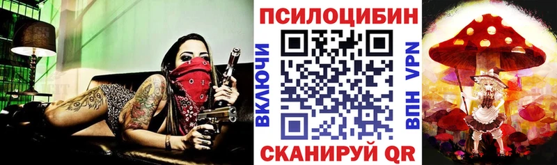 Псилоцибиновые грибы Magic Shrooms  Западная Двина 